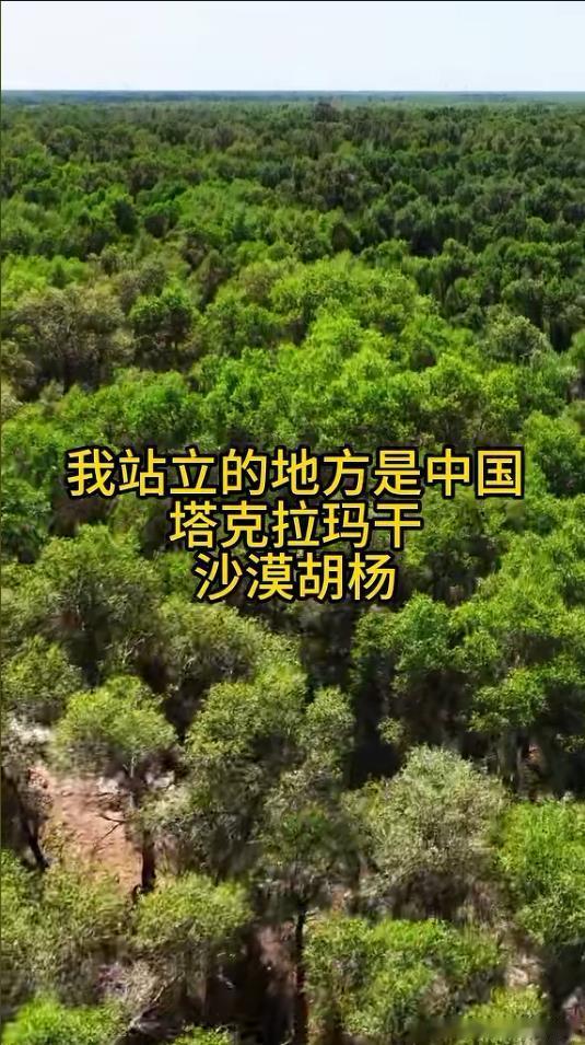 要是下面有条河，感觉就是东南亚~ 
