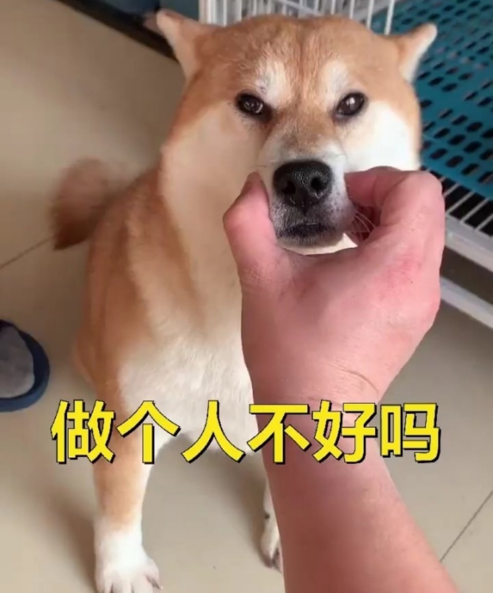 5中国人在泰遭4警察1平民绑架勒索 好好的警察不做非要当绑匪啊… 