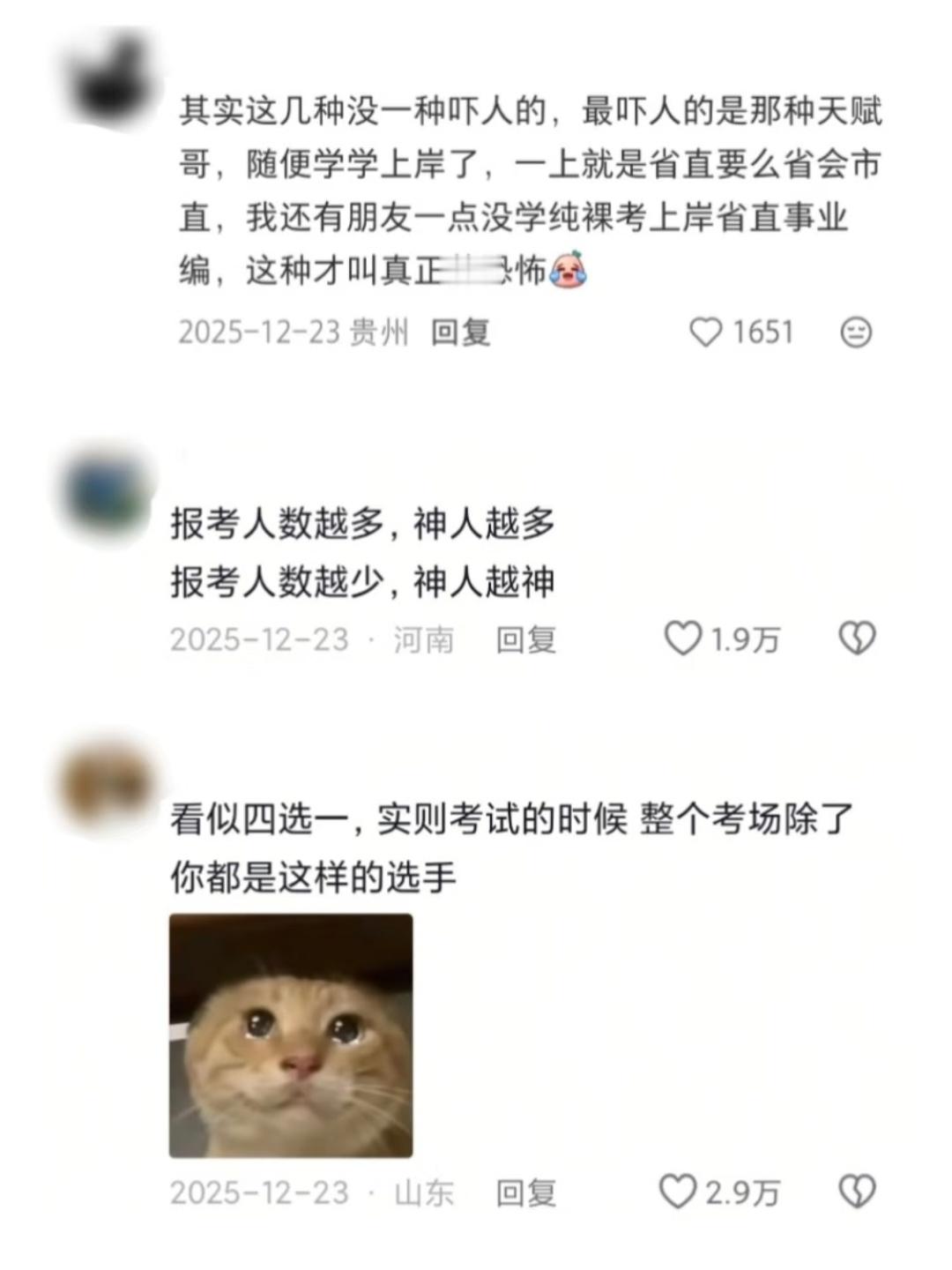 《请选择你的考公对手》 