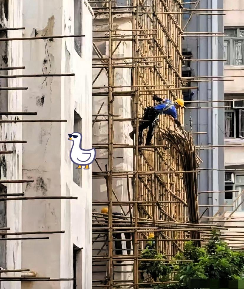 香港高楼外全是竹脚手架！
不是穷，背后原因太戳打工人

到香港逛街的朋友肯定见过