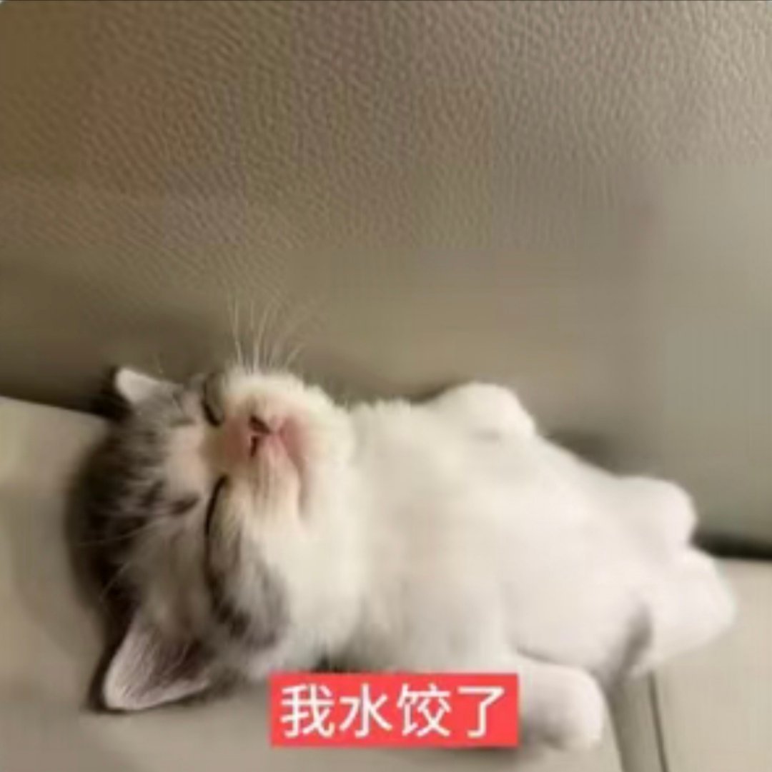 分享图片 