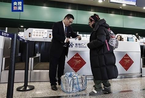 《每人限带1只，必备三证！南航带宠物进客舱最全攻略》

终于不用和毛孩子分开坐飞