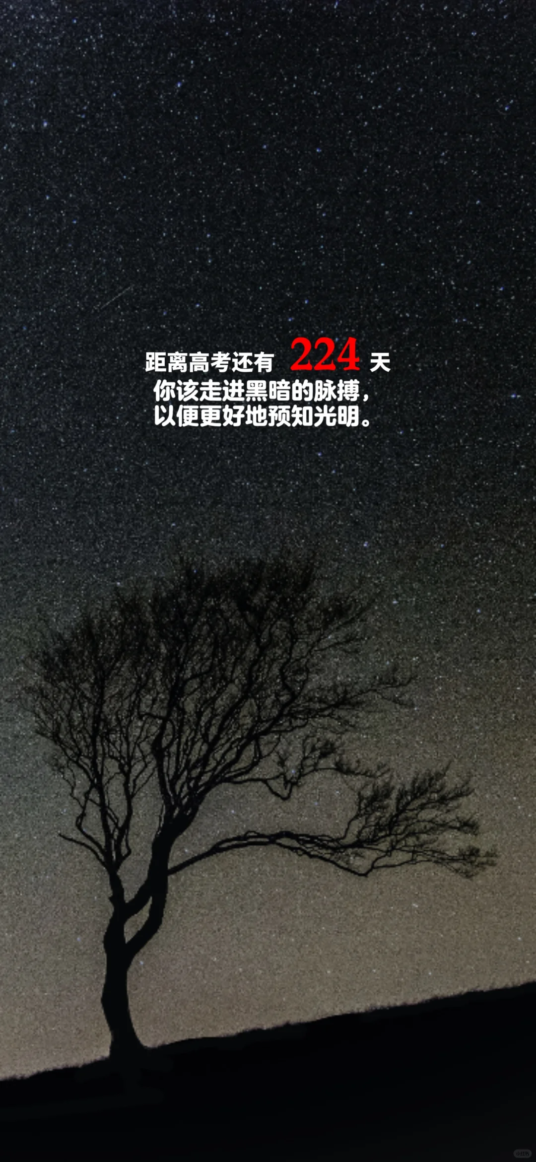 2025高考倒计时，每日更新。