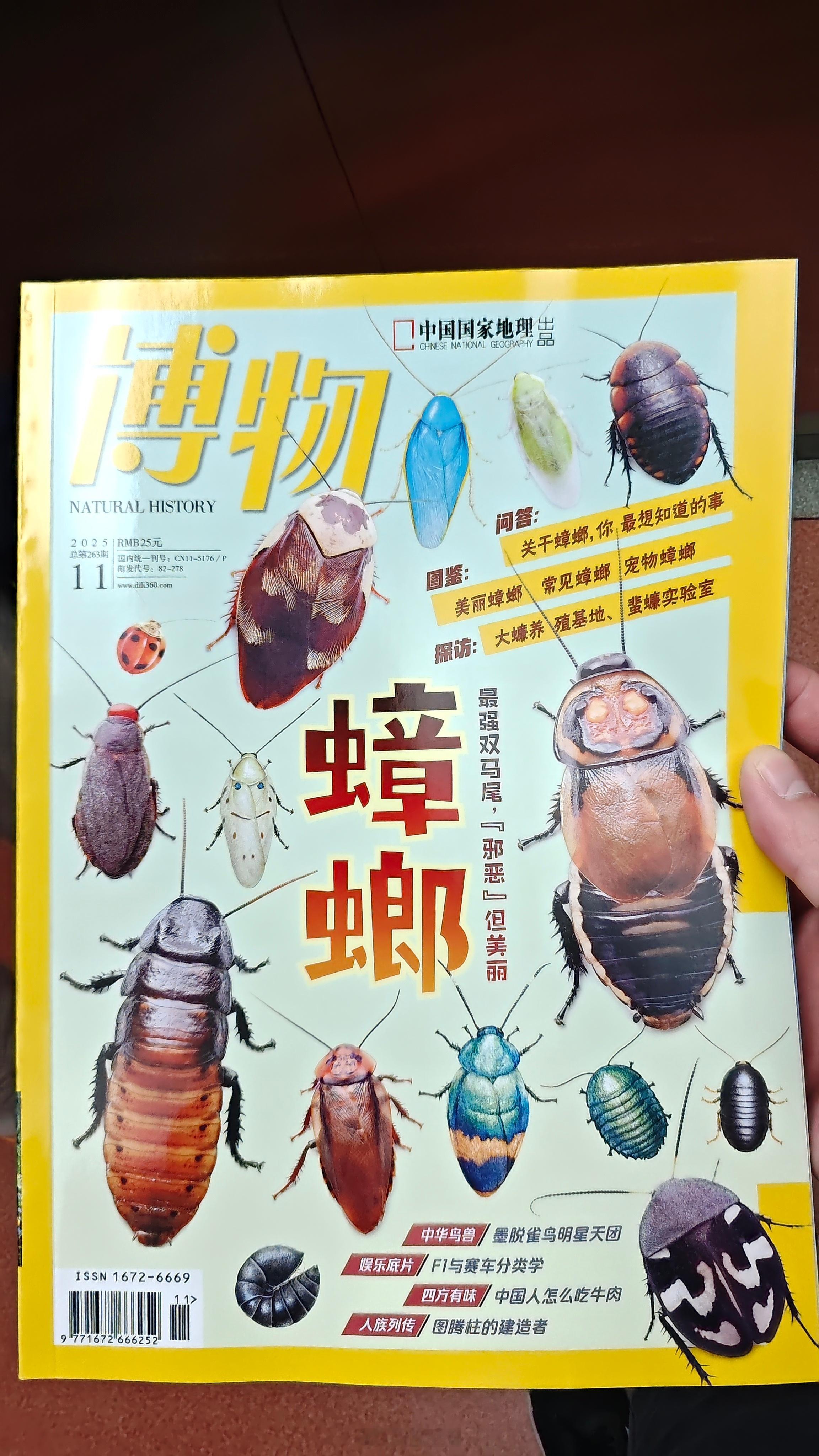 不买不是广东人[doge] ​​​