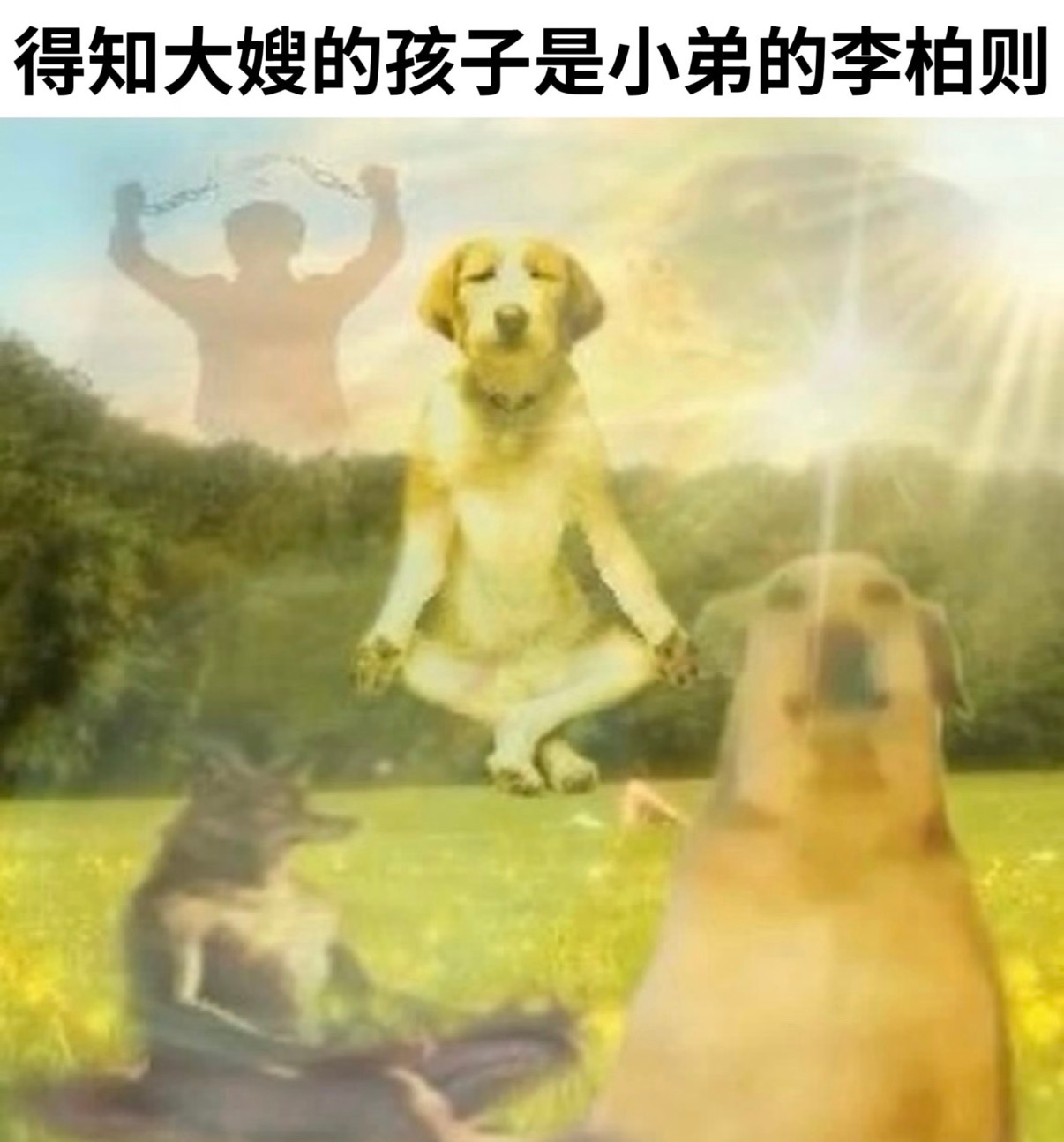 打包一些秒火梗图： 这一秒过火梗图