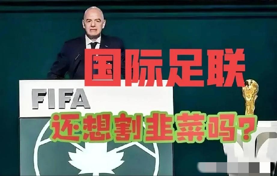 国际足联彻底翻脸！中文被从官网踢出，连立陶宛语都有席位，14亿人用中文竟被公然歧