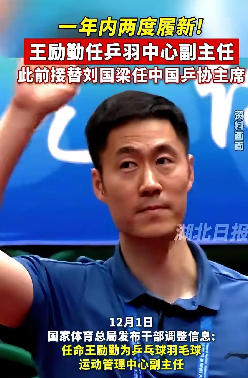 看到王励勤最近的消息，我突然就悟透了。这世上啊，有时候还真就是偏爱那些实实在在的