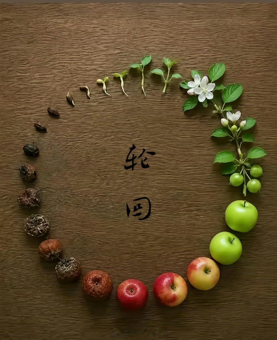 万物皆轮回[祈祷] ​​​