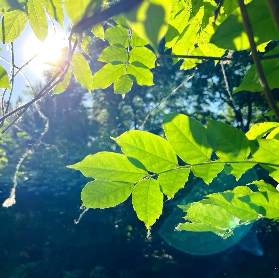 今晚做梦都要笑醒！​相信很多人昨天大涨行情赶上了，今天可能还要继续！​昨晚中概股