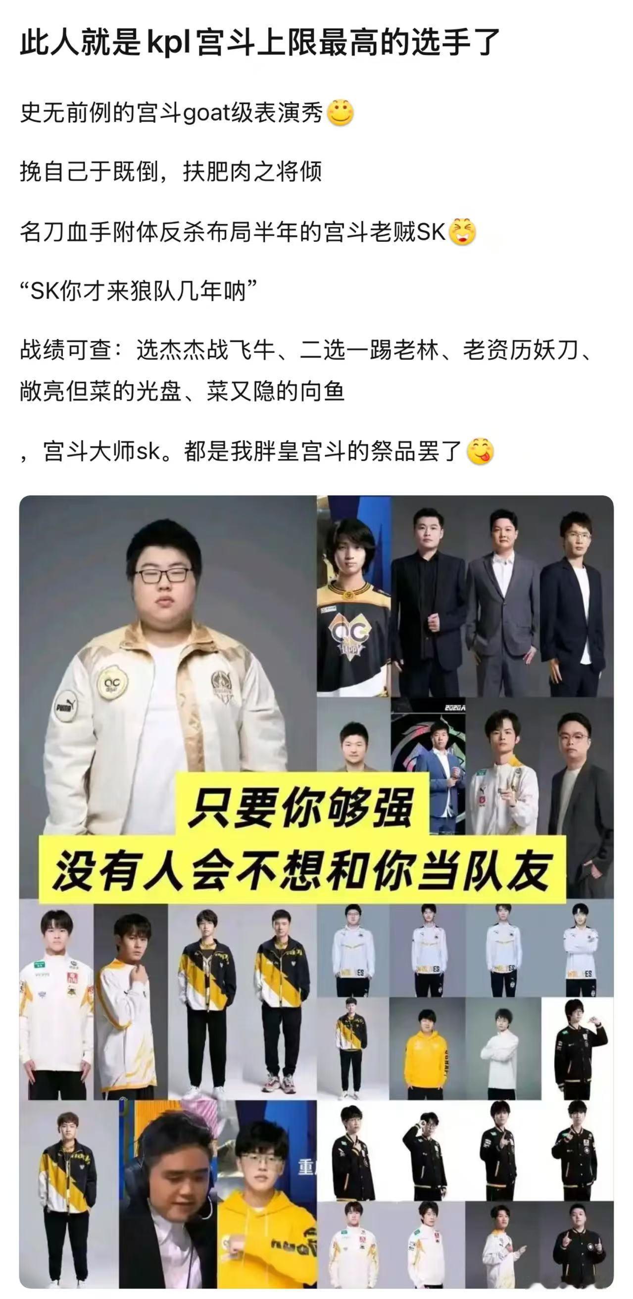 kpl 如何评价小胖就是kpl宫斗上限最高的选手 