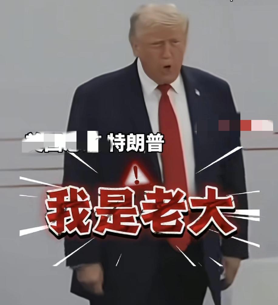 特朗普的我是老大，潜台词就是告知旁边G7国家要本分，不要狐假虎威，借着老美的去捞