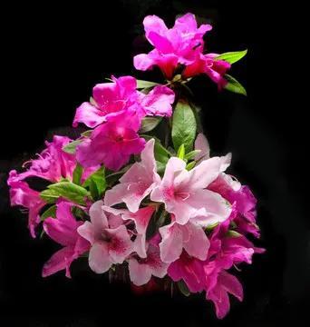 周四盘后传来重磅消息，周五大A走势主要看震荡方向！
周四盘后重磅消息如下：
一、