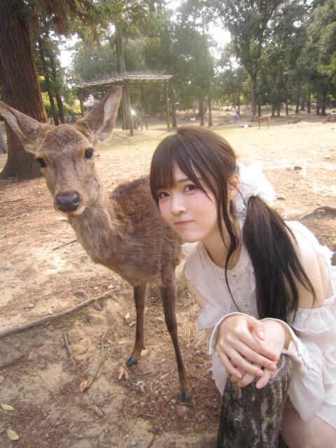 🦌🦌🦌奈良