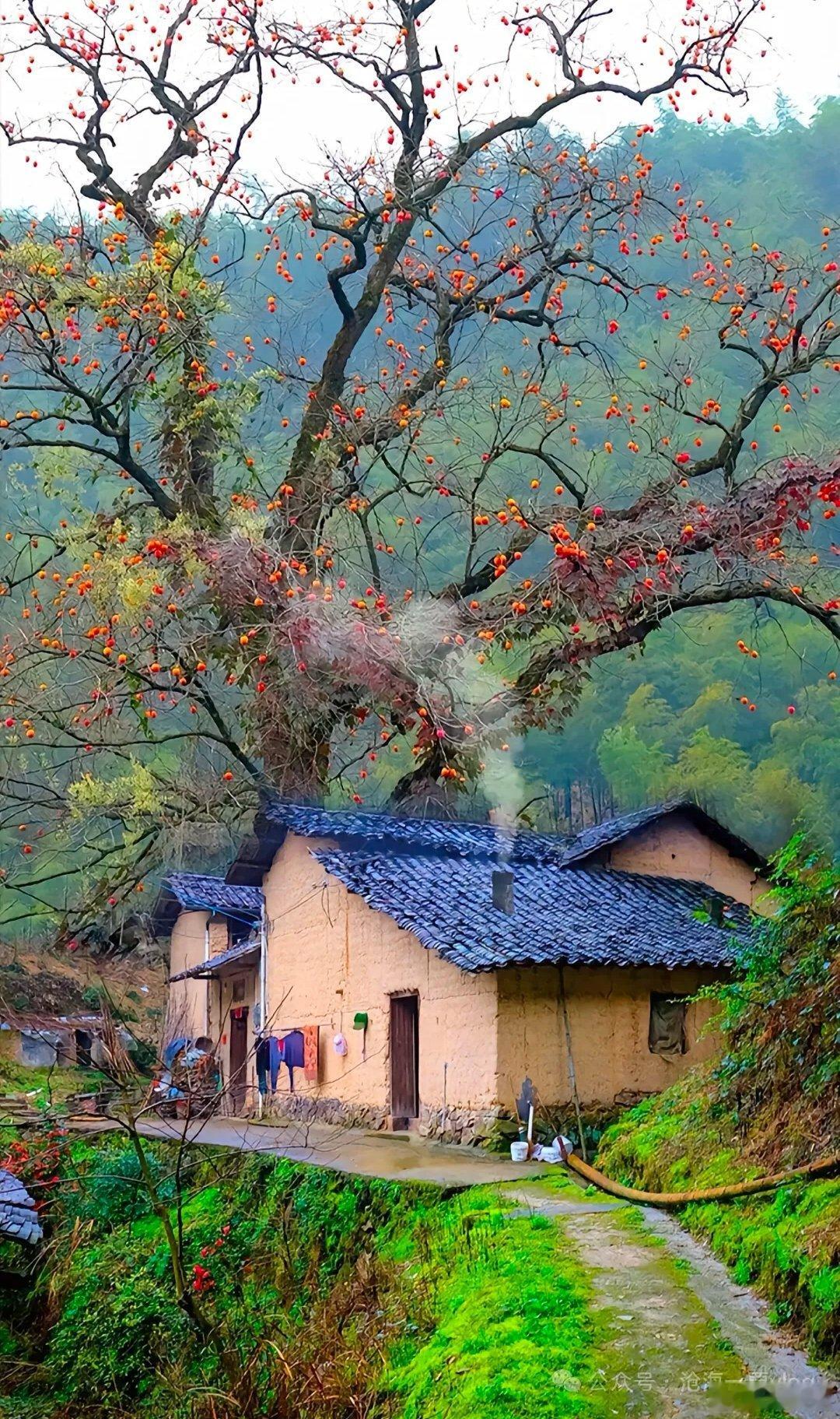 有没有发现一个问题：现在的一些短视频里只要涉及到农村环境、乡下生活，就会引发很多