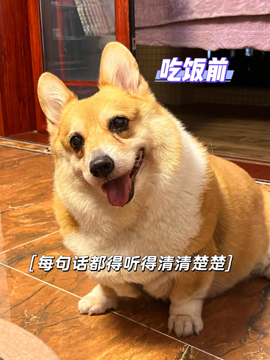 这柯猪，翻脸比翻书还快……