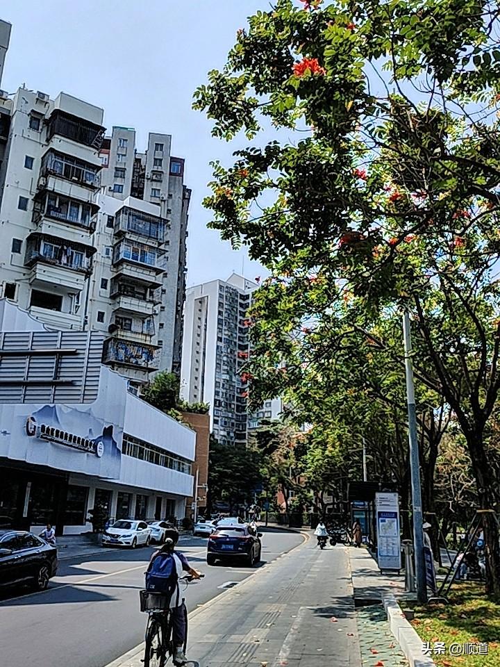 此刻我正在买菜回来的路上，我正坐在自行车上，一脚点地，一脚点在脚蹬上，别无它意，