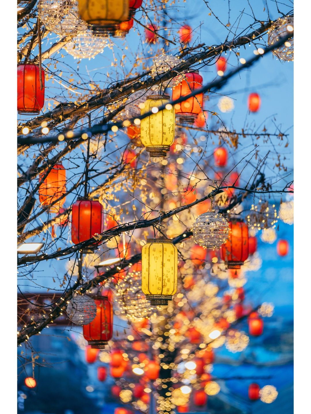 2023年度总结｜我最爱的9个治愈瞬间📸️