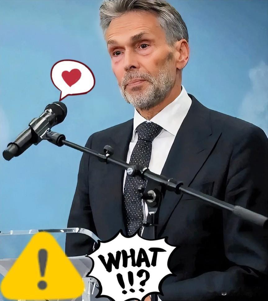 讨好美国反坑自己？

靠拢美国搞半导体制裁，没伤台积电反被稀土“卡喉”

荷兰近