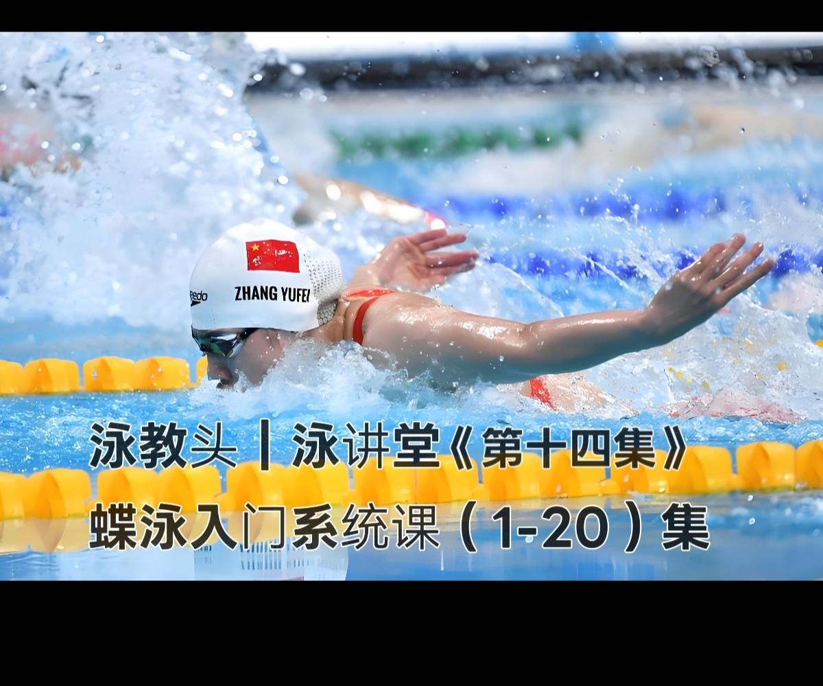 蝶泳核心教学：节奏卡准，配合不混乱｜泳教头·泳讲堂第14集
 
蝶泳常被称作“最