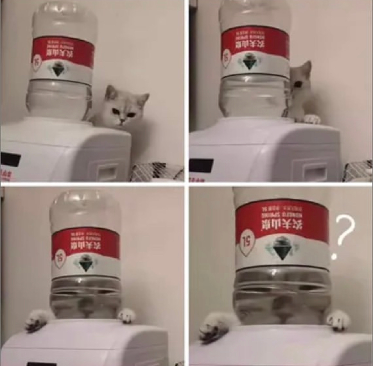 ？ ​​​