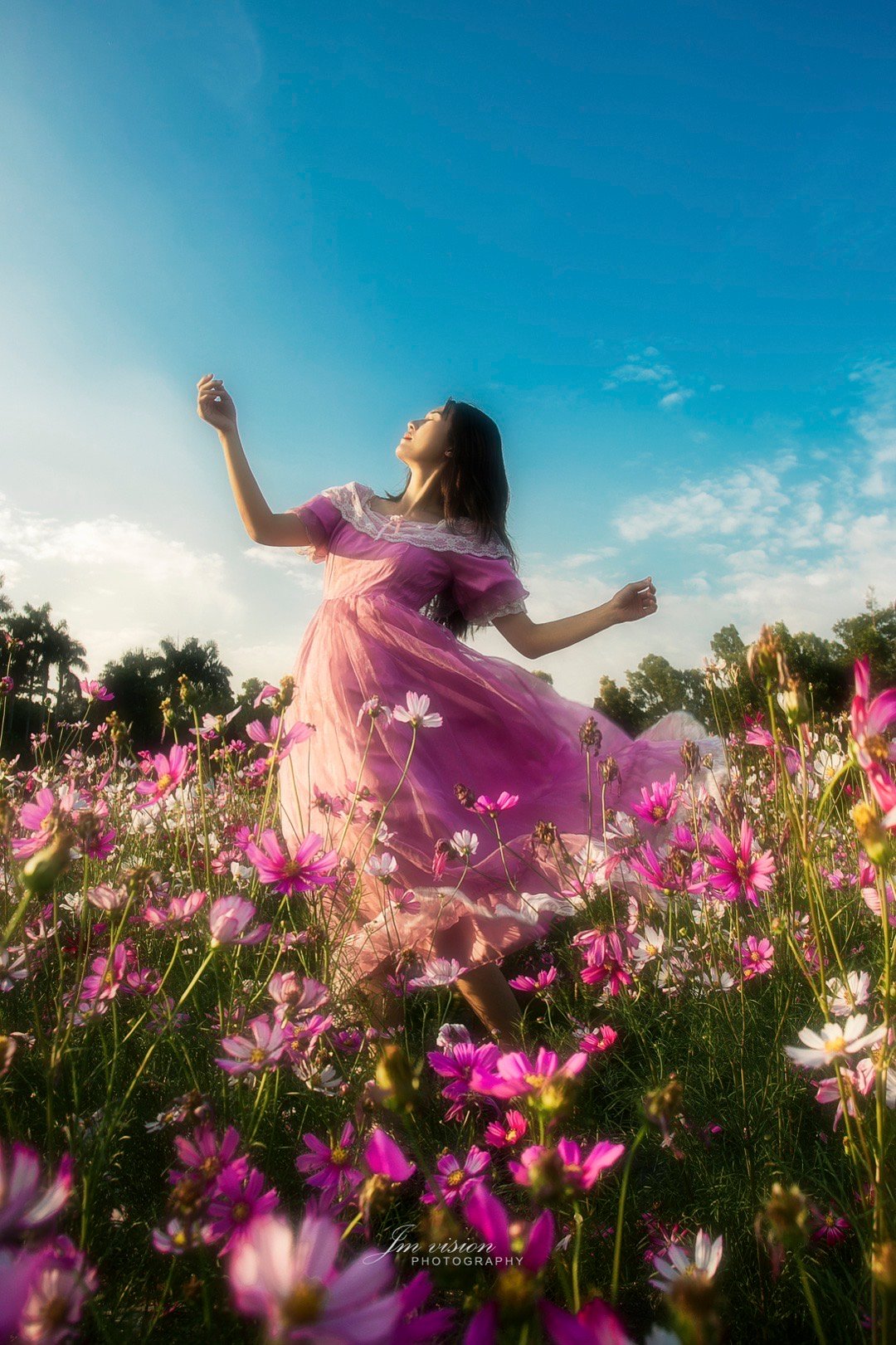 摄影分享  📸20241030深圳观澜版画村格桑花外拍📷🌸💐💃 深圳约