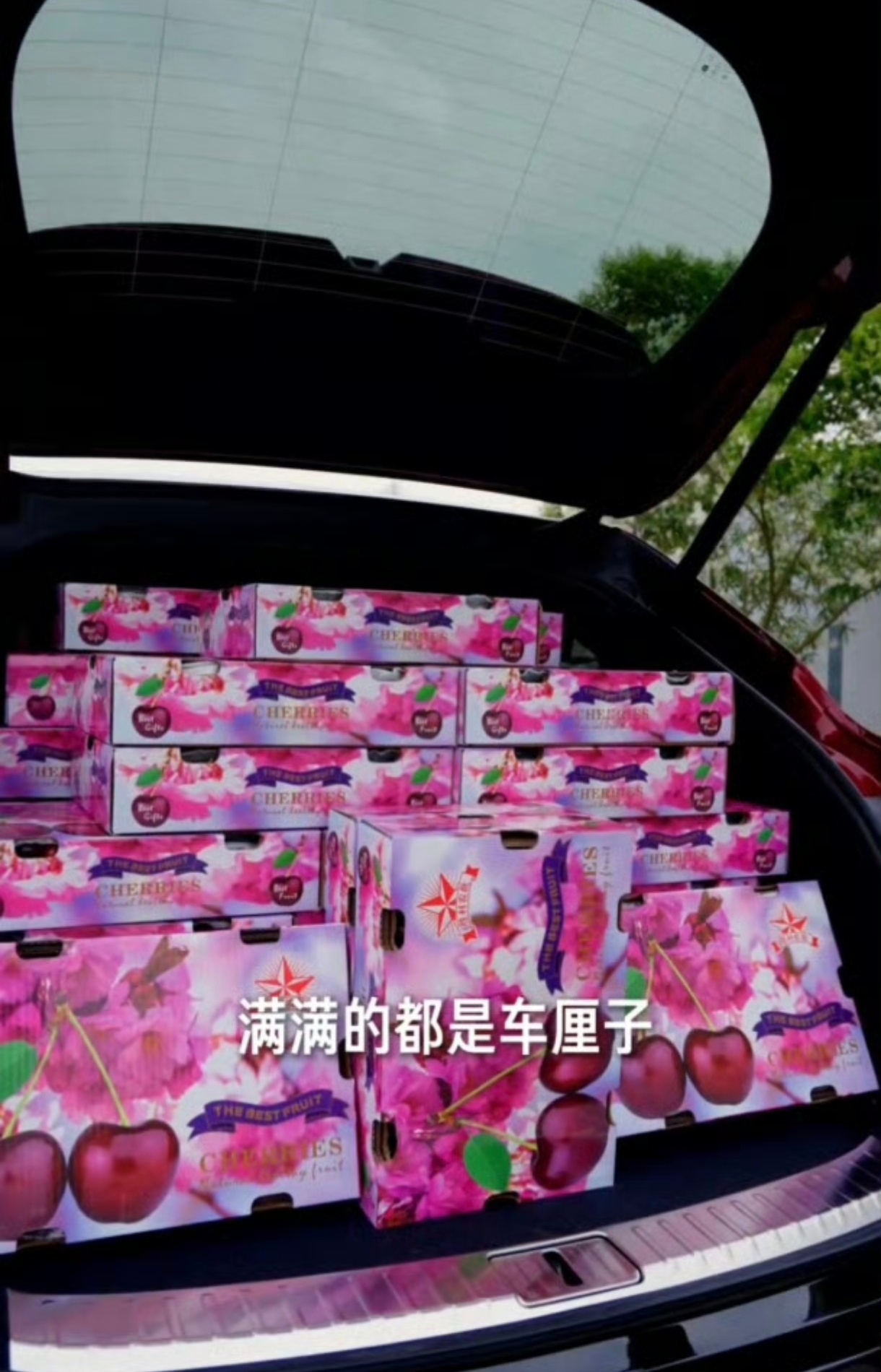 雷军用私家车装600斤车厘子被指违规这事其实没必要过度解读。首先，人家送车厘子地