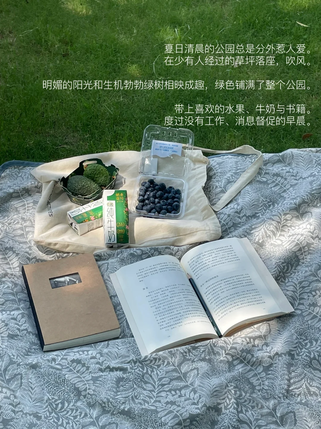 公园是打工人的精神避难所