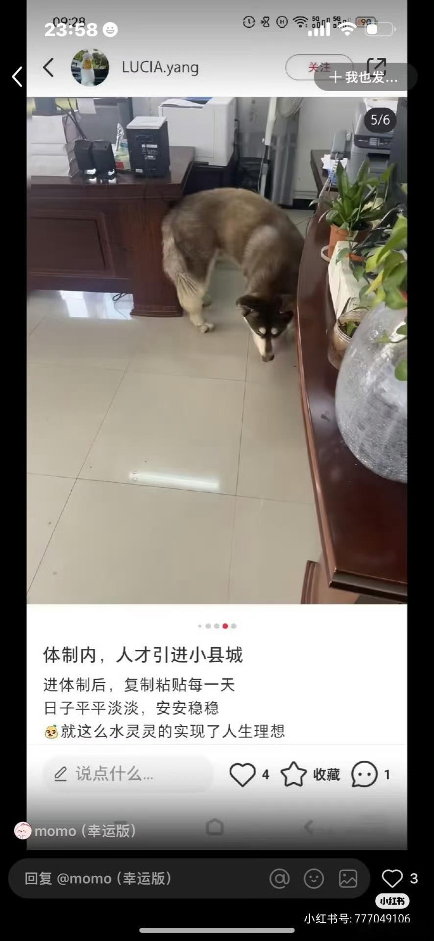 怀孕女子称老公为市里副处不实24年通过人才引进入职县文旅局，为博取关注，散布不实