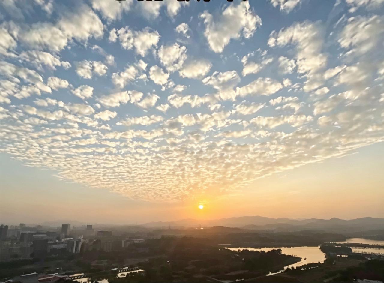 分享一下你随手拍下的照片