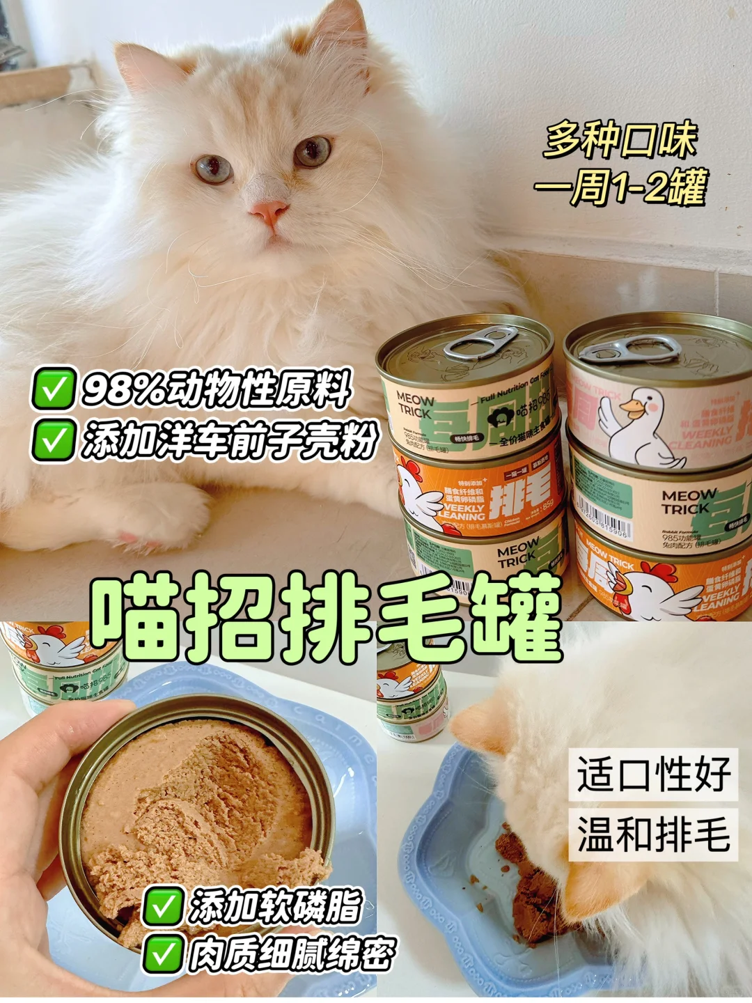 养猫实用好物推荐