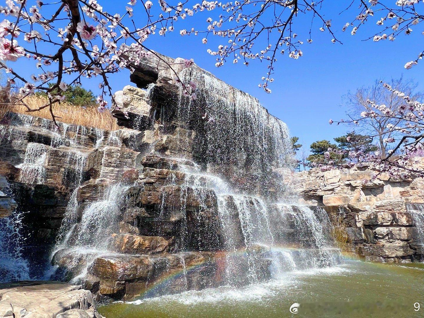 北京西山森林公园桃花流水映彩虹，美不胜收。摄影​​​