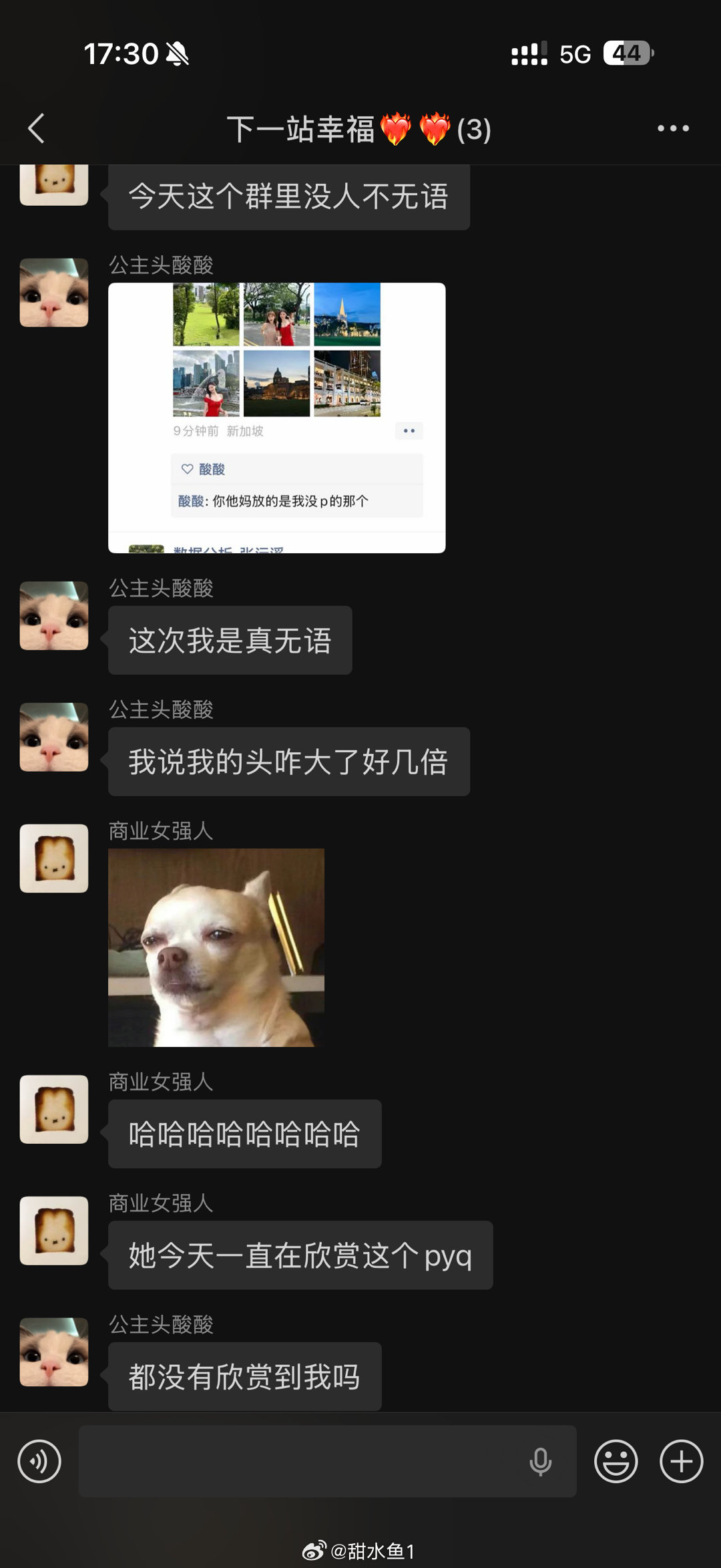 哈哈哈哈哈哈哈哈哈哈哈哈哈哈哈哈哈对不起啊我真不知道笑晕倒了 