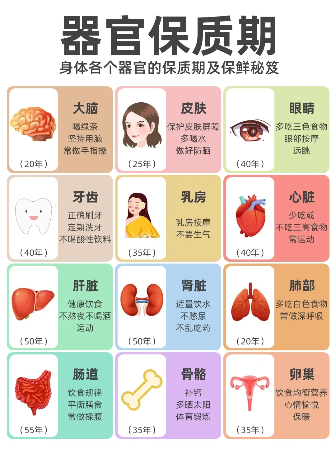 人体器官“保质期”｜五脏六腑的养生秘籍