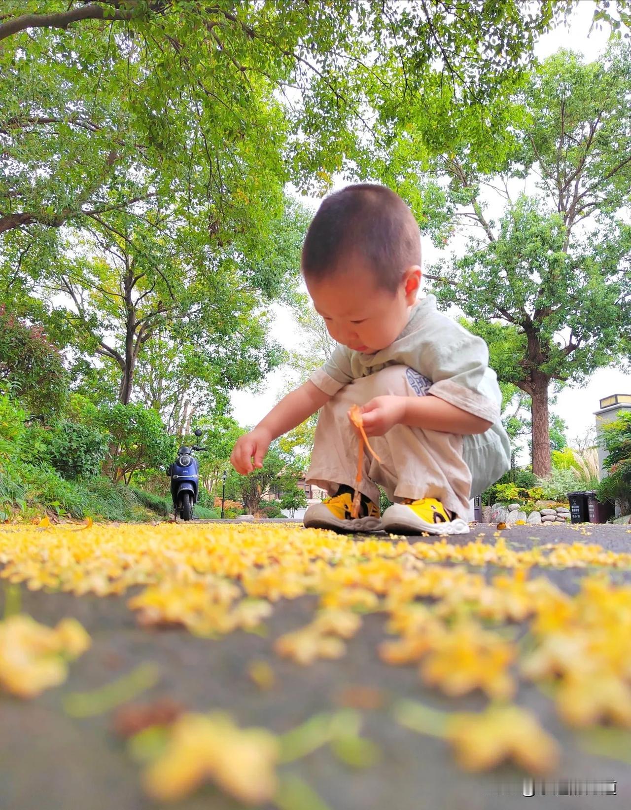 桂花与小男孩儿

#秋日生活打卡季#