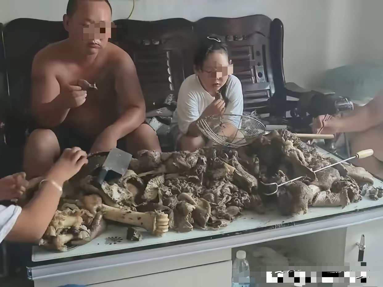 这吃肉的样子，估计一般家庭都比不过！ 