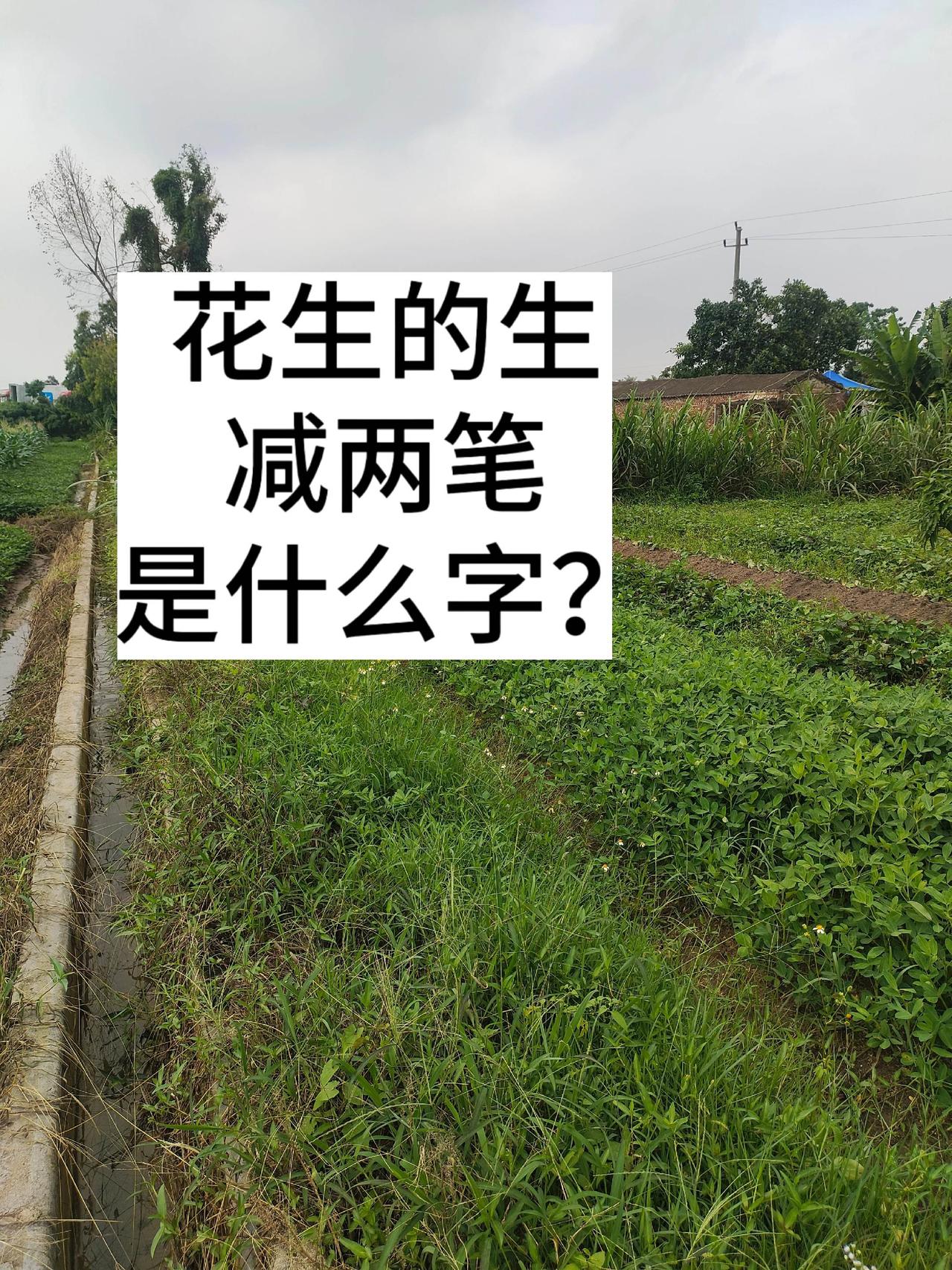 今天出个趣味字谜，问遍全村邻里，居然没一个人答对！谜面超简单：花生的“生”减掉两