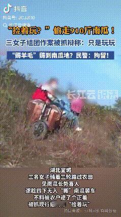 “捡着玩？”湖北宜城，三名女子骑着三轮车路过农田见南瓜长势喜人，于是就动了歪心思