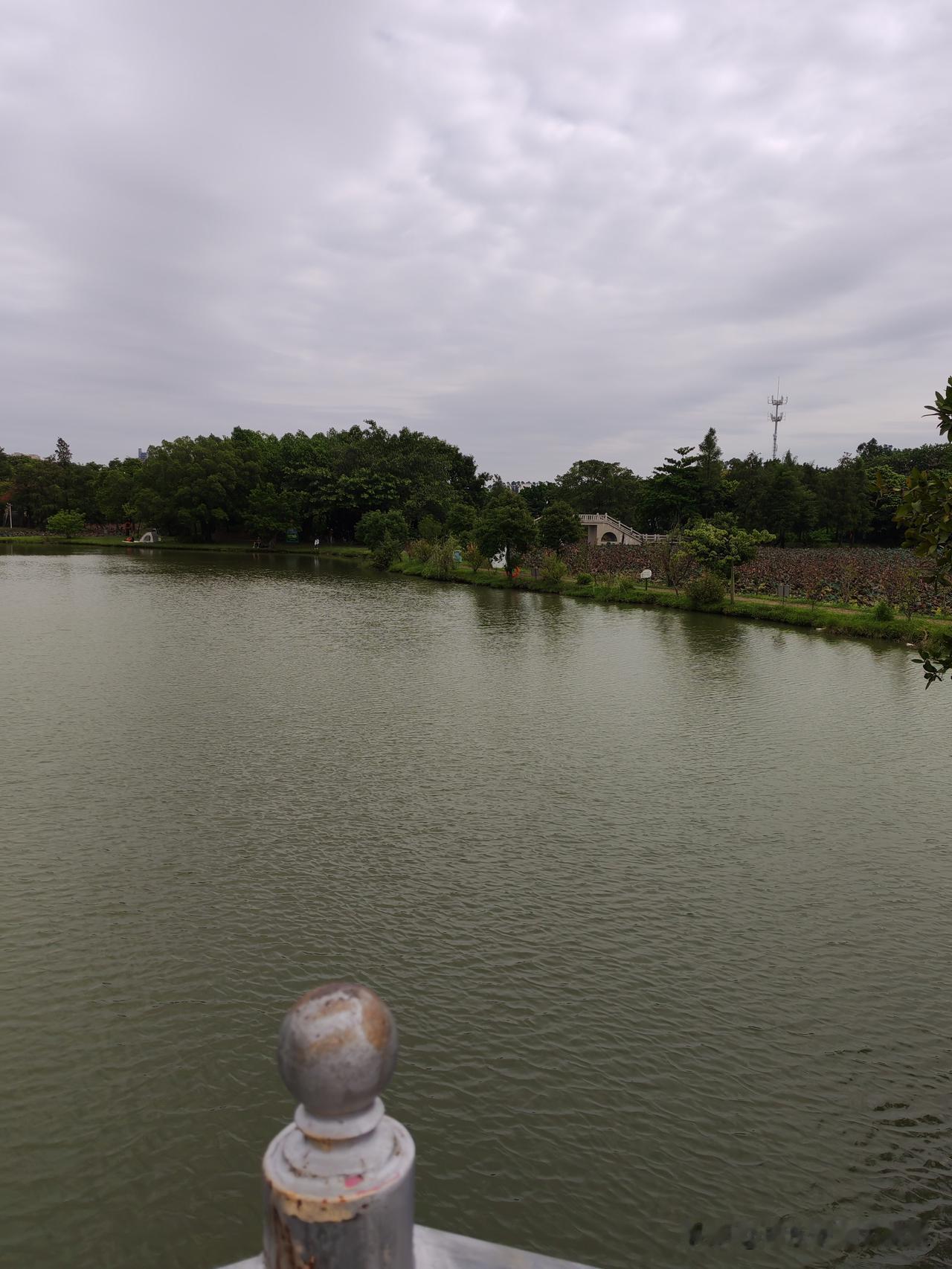汕尾海丰有没有可能成为深圳的一个区？大家都知道，海丰最初划出四个镇交由深圳设立深