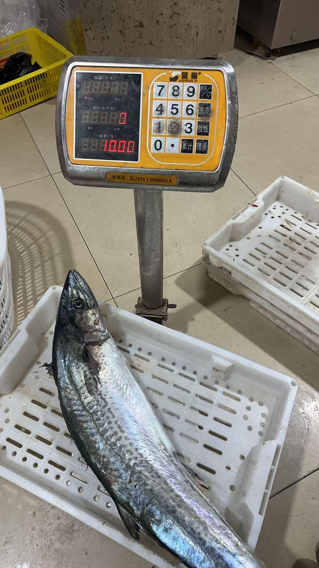 十斤的蓝灰色脊背
像一截沉默的船板

我举着刀站在旁边
想起早上菜场里
鱼贩说这