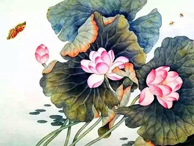 工笔荷花欣赏