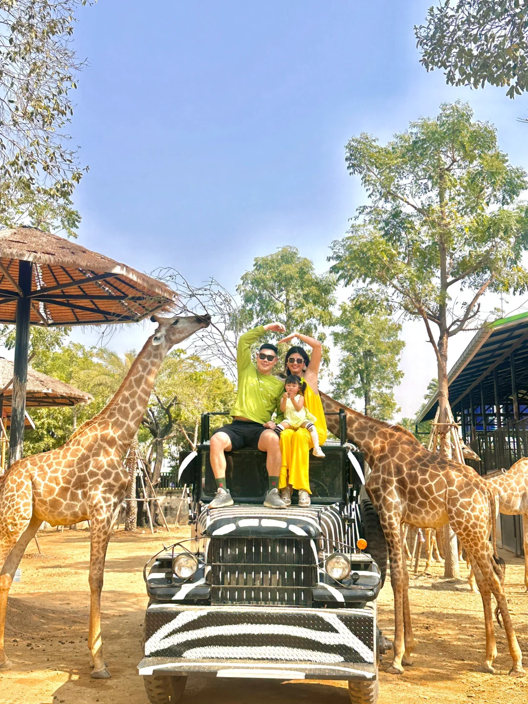 错过人群高峰 来泰国“肯尼亚”探险啦🦒🐯