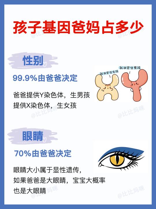 你家宝宝更像谁❓快来看看爸妈基因各占多少