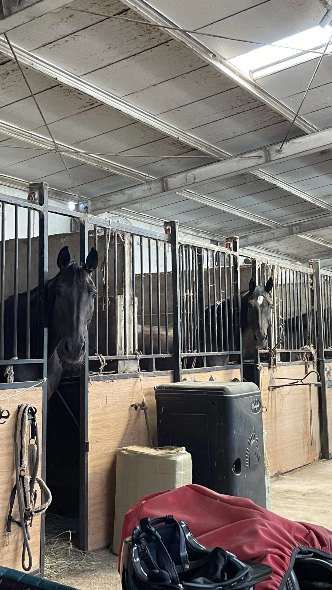 姐妹花神同步👭