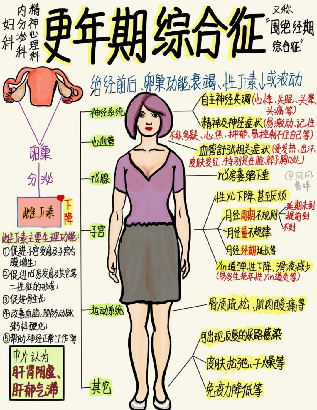 📖医学生笔记|更年期综合征 建议点赞收藏