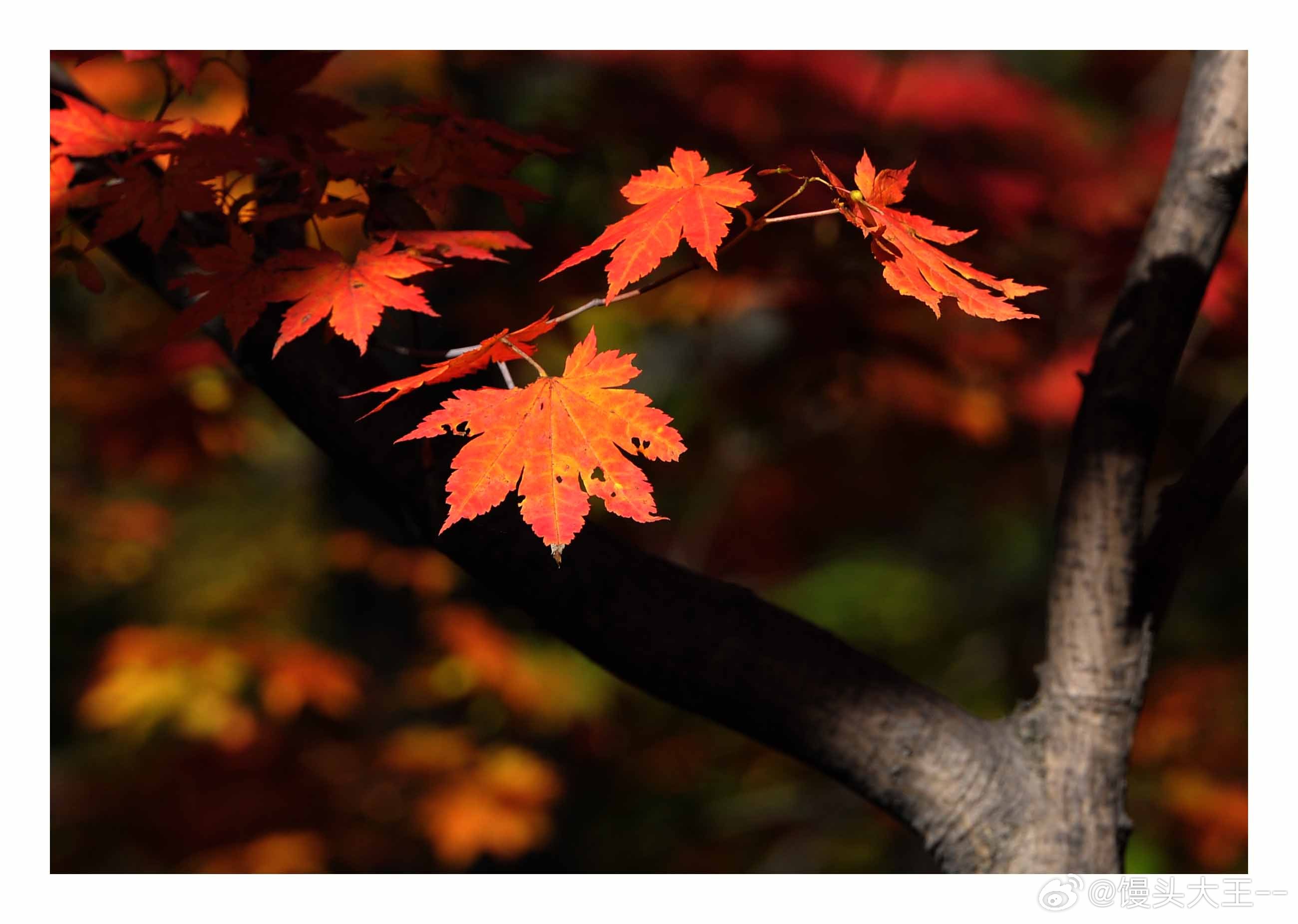 跟着明星来打卡辽宁铁刹山 最近铁刹山去了好多明星，李乃文说铁刹山景色迷人，钟镇涛