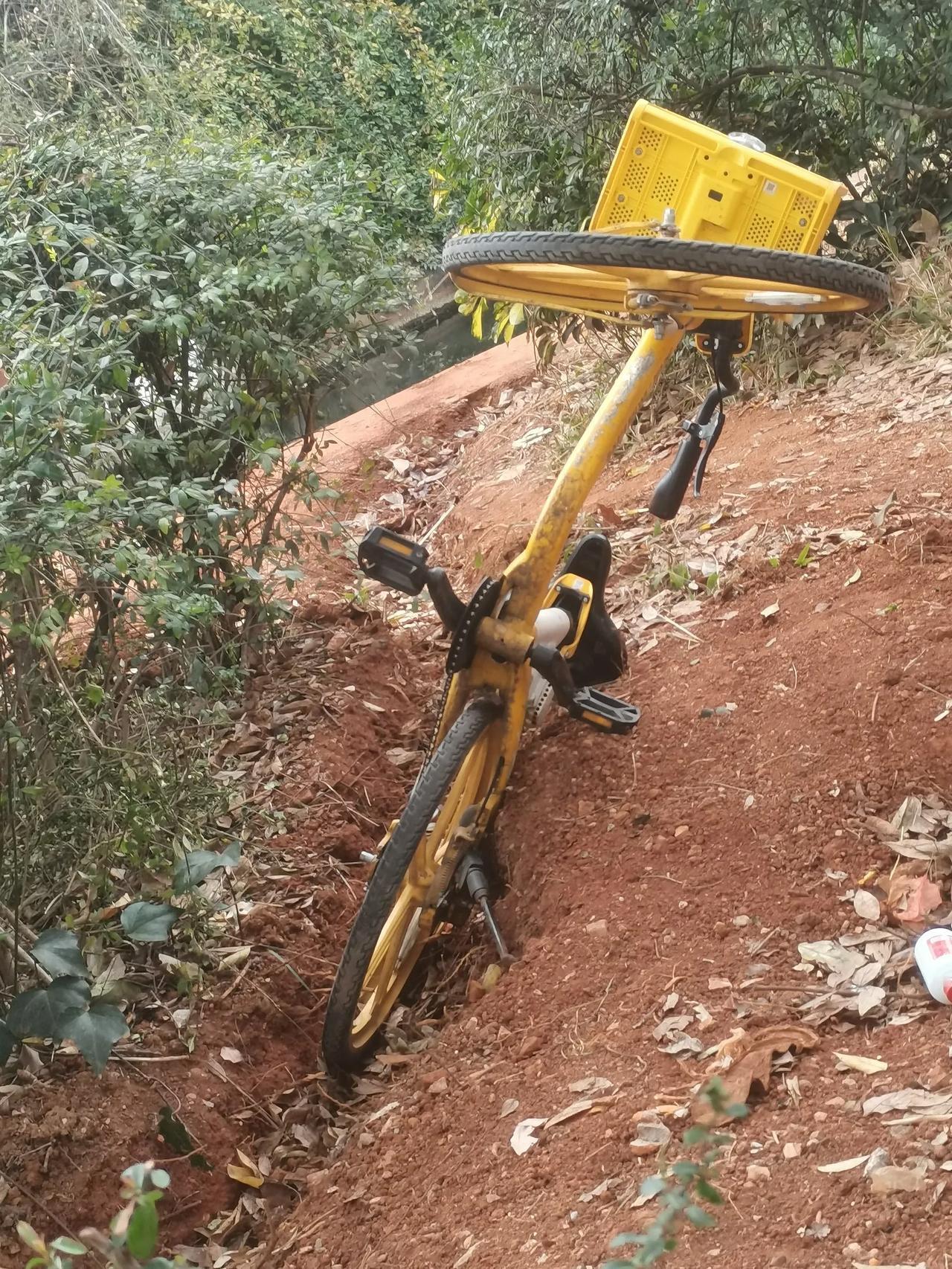 这些人挺会想办法的，白行车停得挺别致啊！