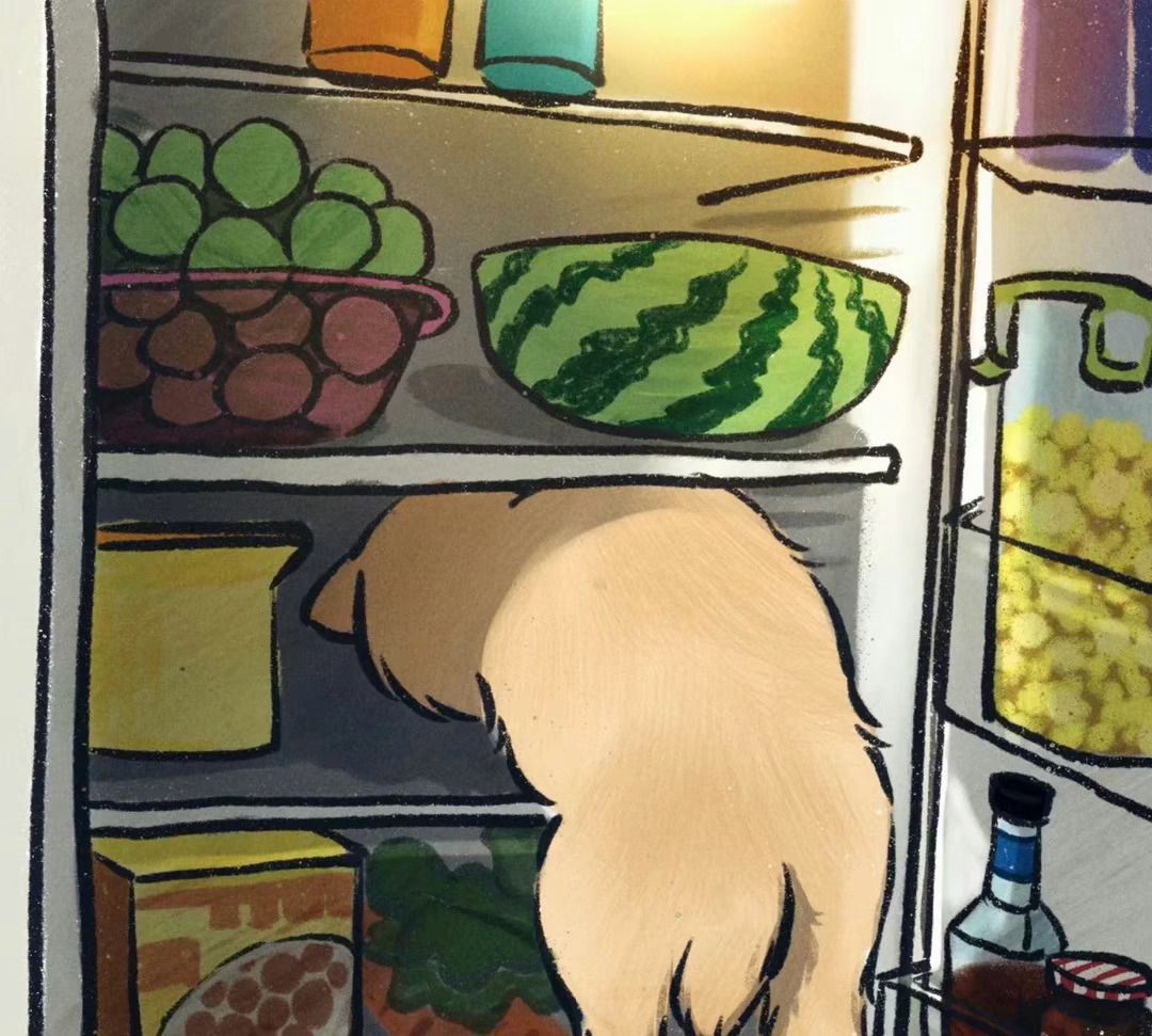  冰箱成了这只小猫咪的避暑天堂 ​​​
