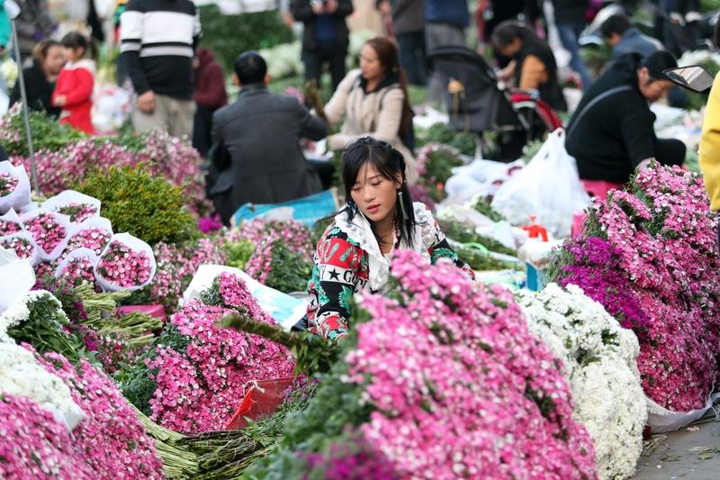昆明斗南花市：一场永不落幕的浪漫花事
昆明的浪漫，果真没有天花板！斗南花市的马路