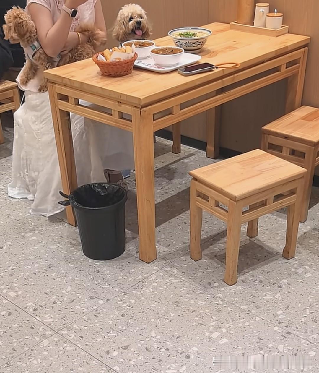 又一家餐厅要倒霉了，又是狗上桌，又是无人制止，这次不止一条，是两条！这次轮到南京