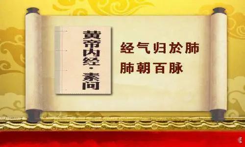 中医基础；肺朝百脉，是什么意思？肺朝百脉：是指全身的血液都通过经脉而聚会于肺，通